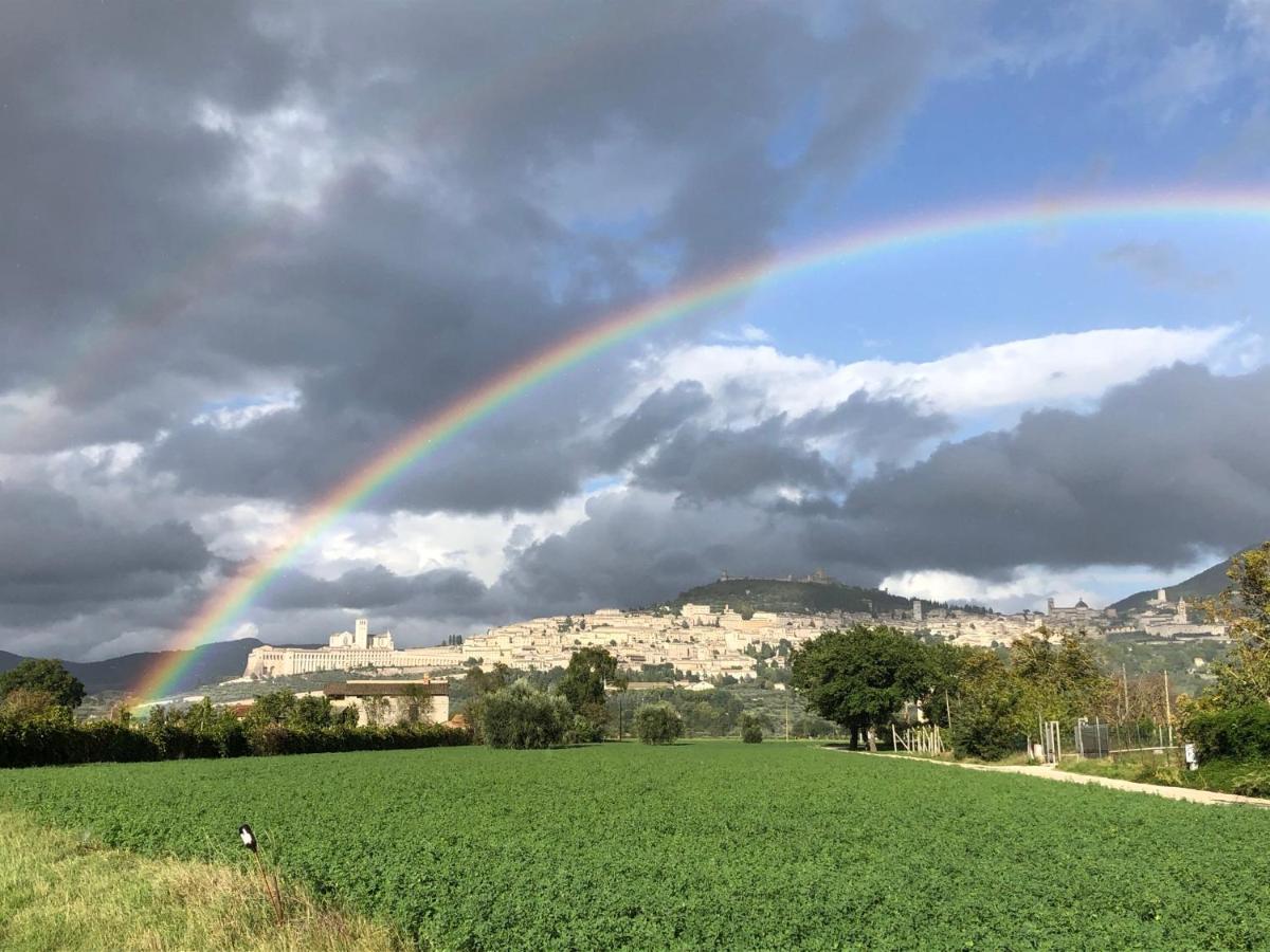 La Casa Dell'Artista Lägenhet Assisi Exteriör bild