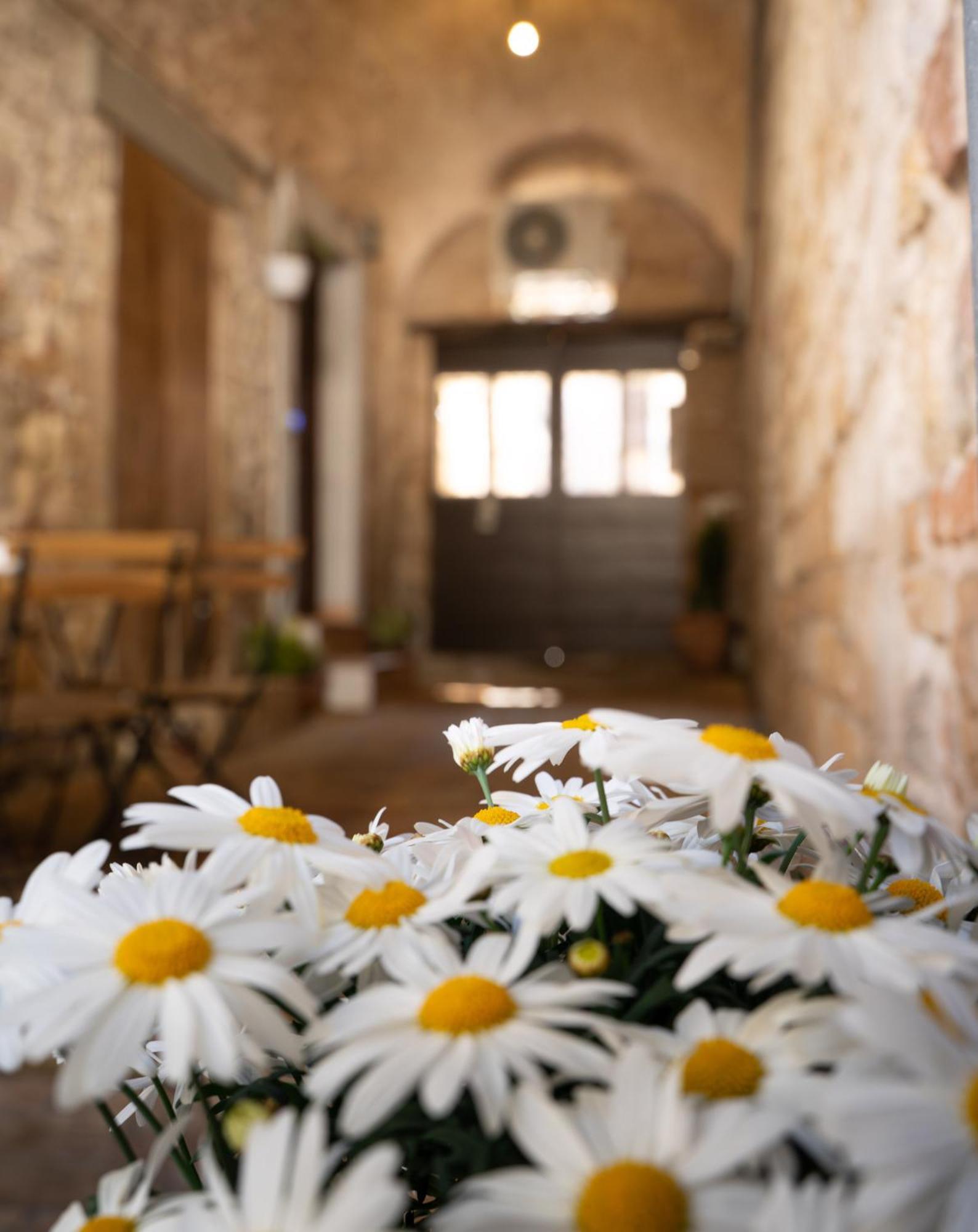 La Casa Dell'Artista Lägenhet Assisi Exteriör bild
