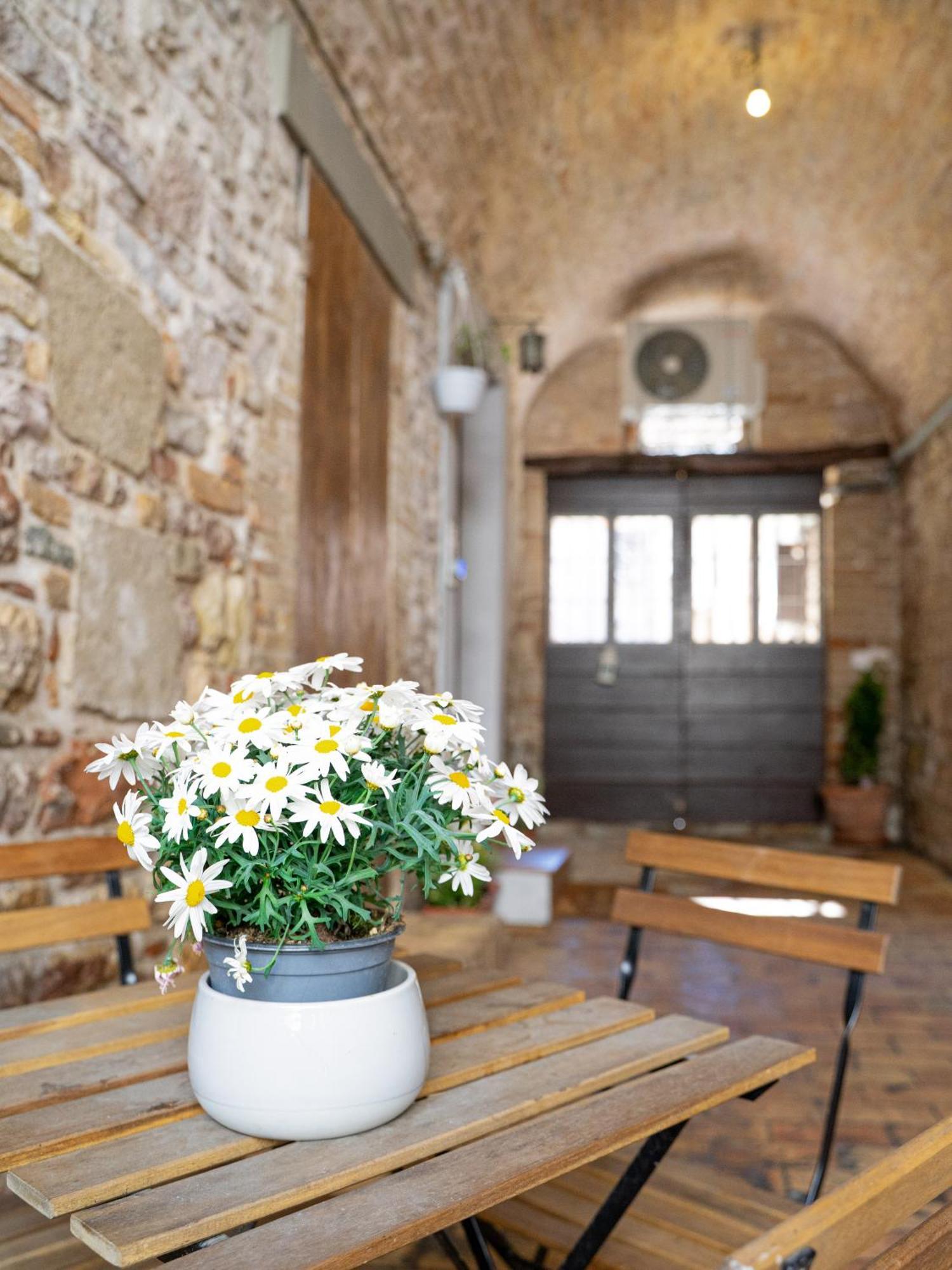 La Casa Dell'Artista Lägenhet Assisi Exteriör bild